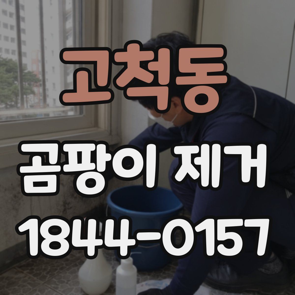 고척동 곰팡이 제거