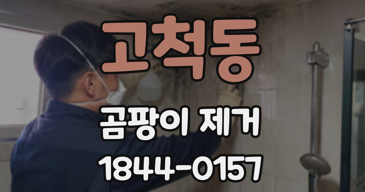 고척동 곰팡이 제거