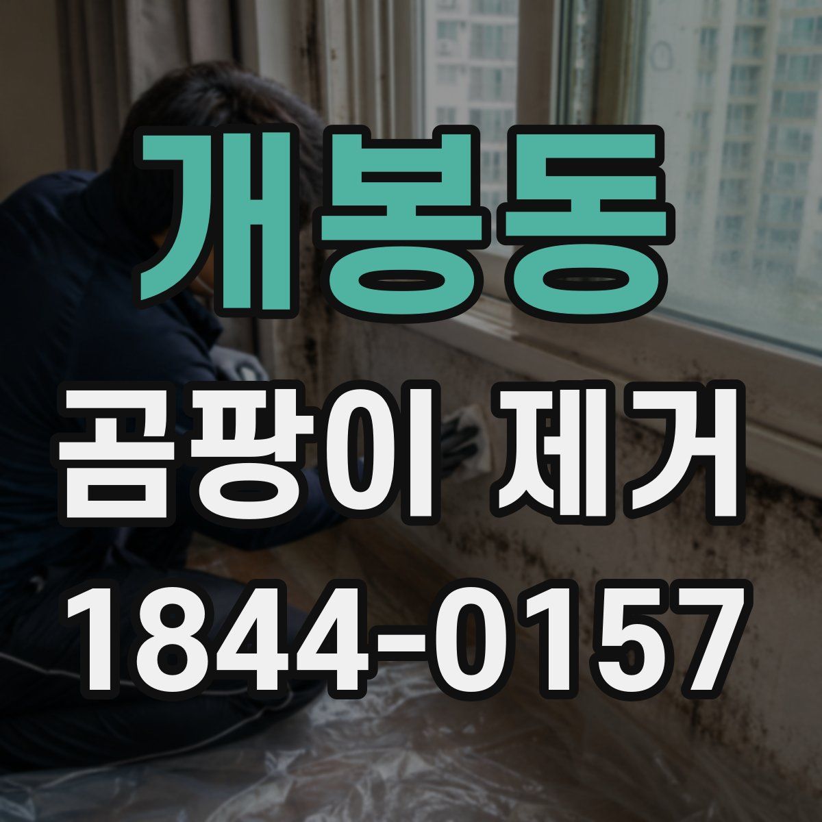개봉동 곰팡이 제거
