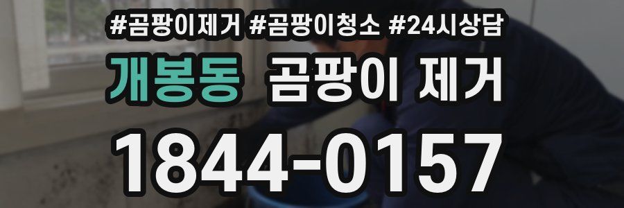 개봉동 곰팡이 제거