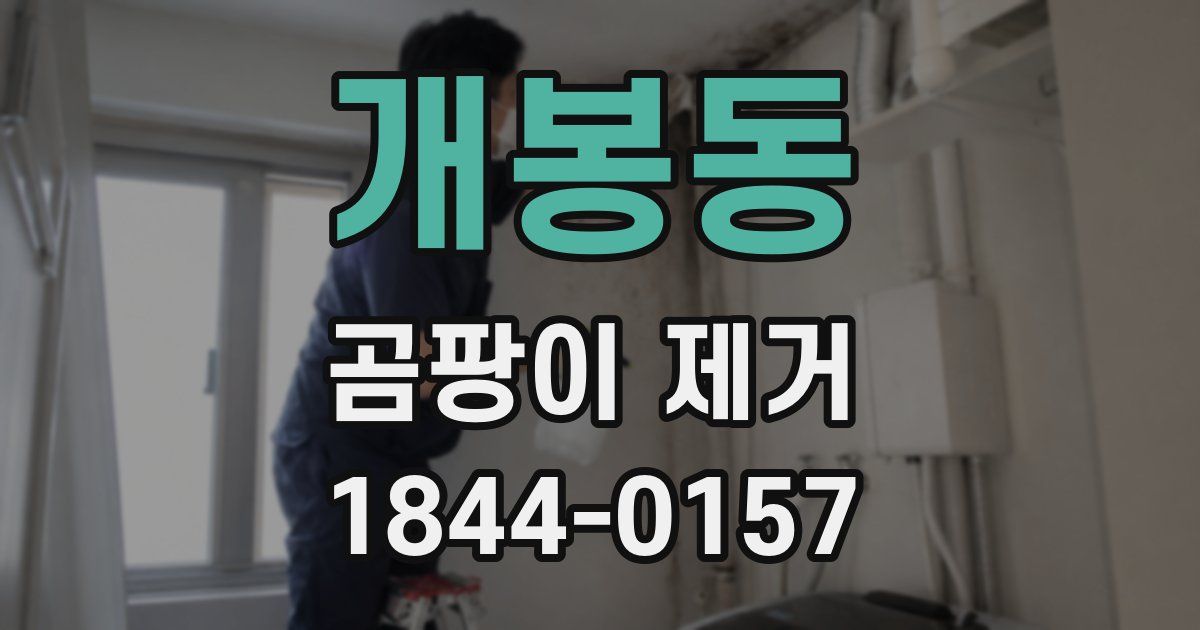개봉동 곰팡이 제거