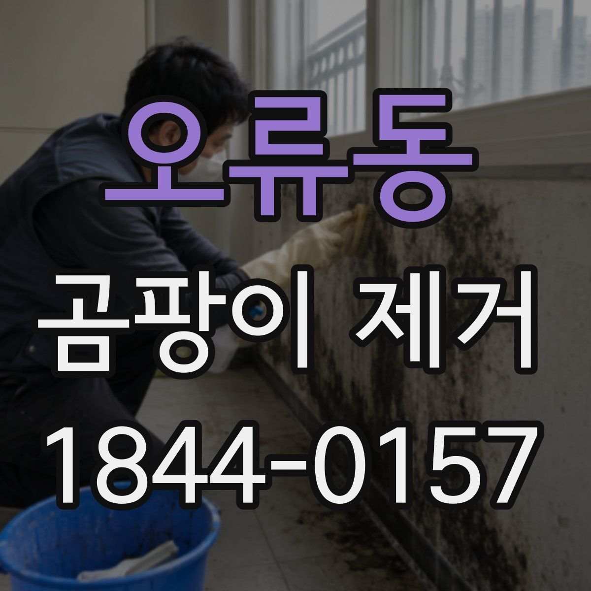 오류동 곰팡이 제거