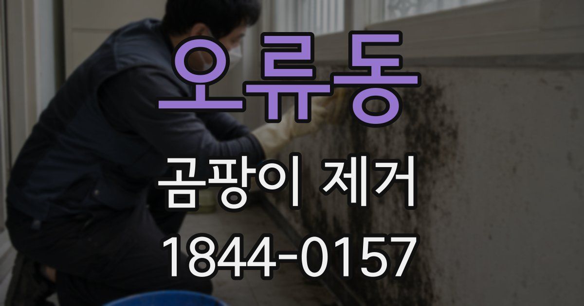 오류동 곰팡이 제거