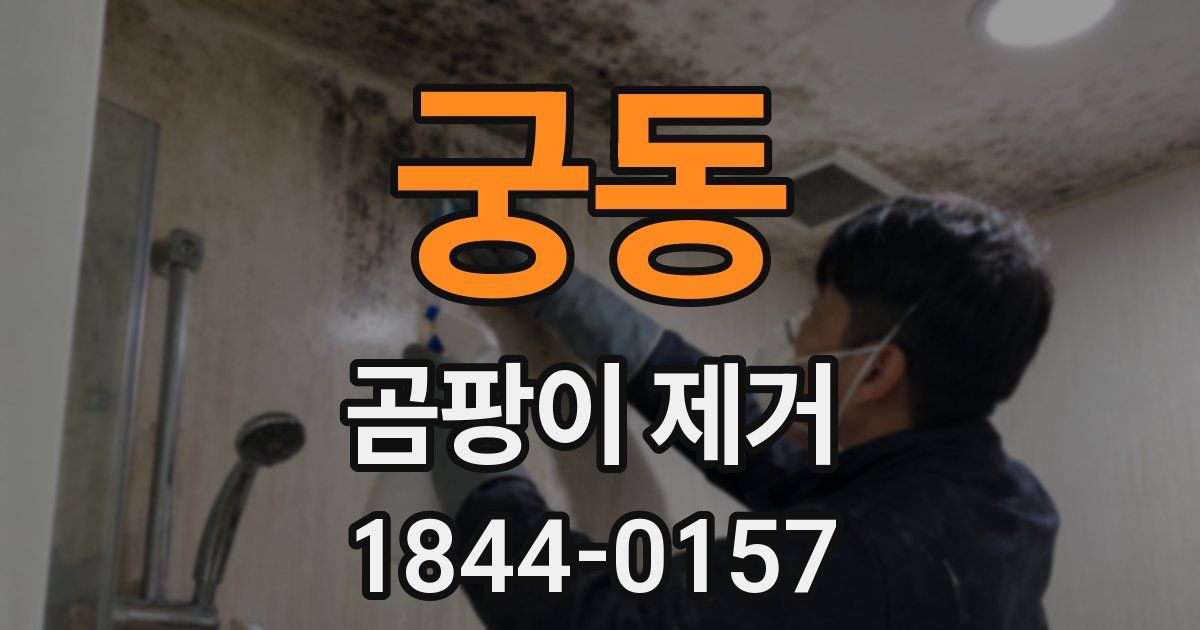 궁동 곰팡이 제거