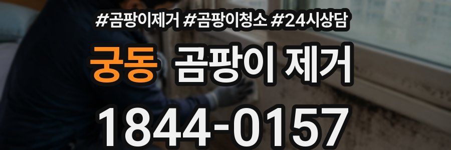 궁동 곰팡이 제거