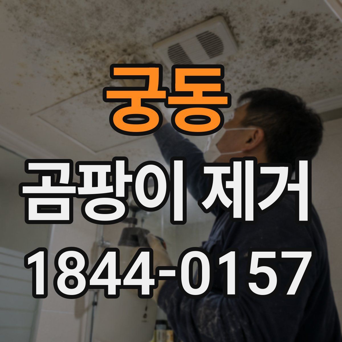 궁동 곰팡이 제거