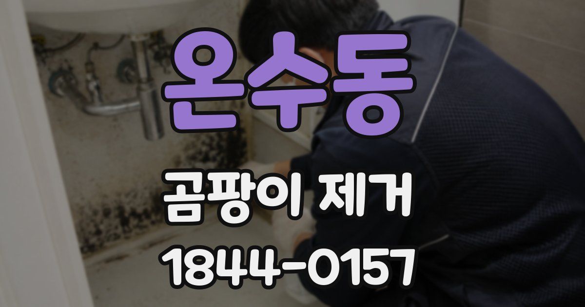 온수동 곰팡이 제거