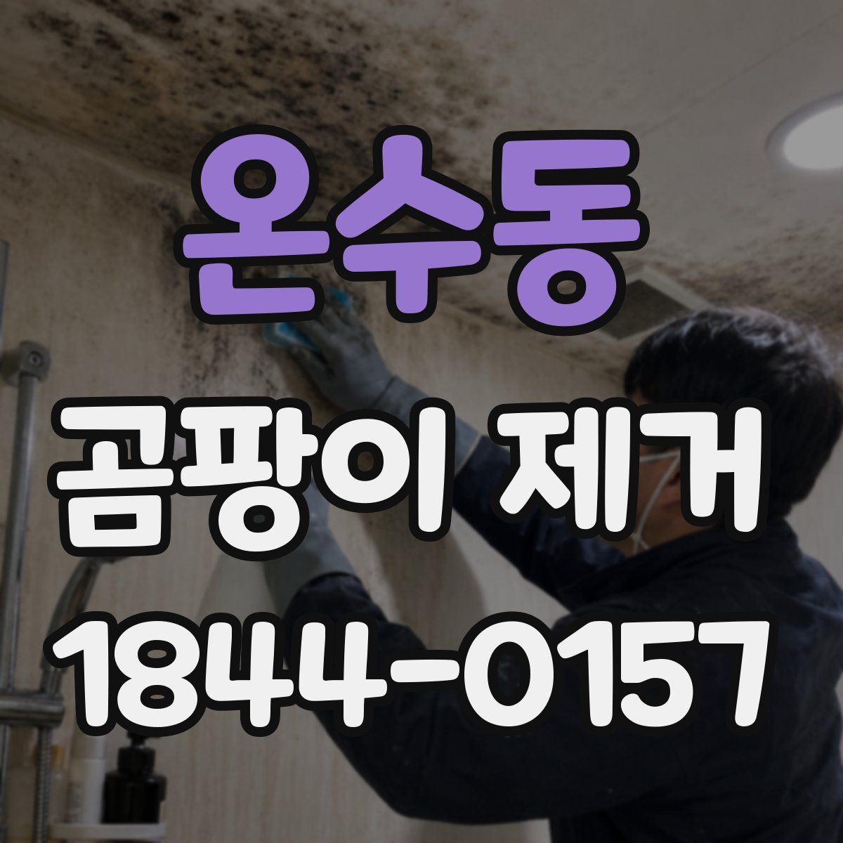 온수동 곰팡이 제거