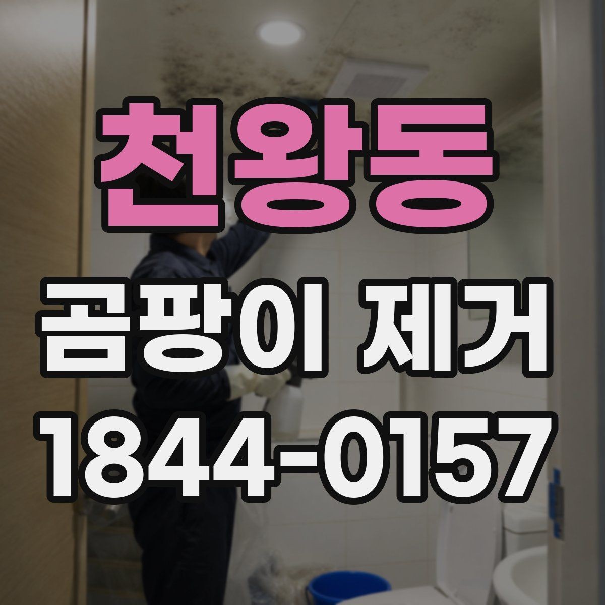 천왕동 곰팡이 제거 계절별 관리 차이를 알아두는 방법