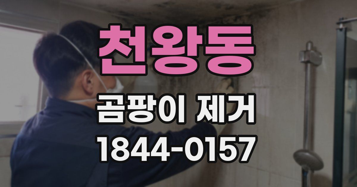 천왕동 곰팡이 제거