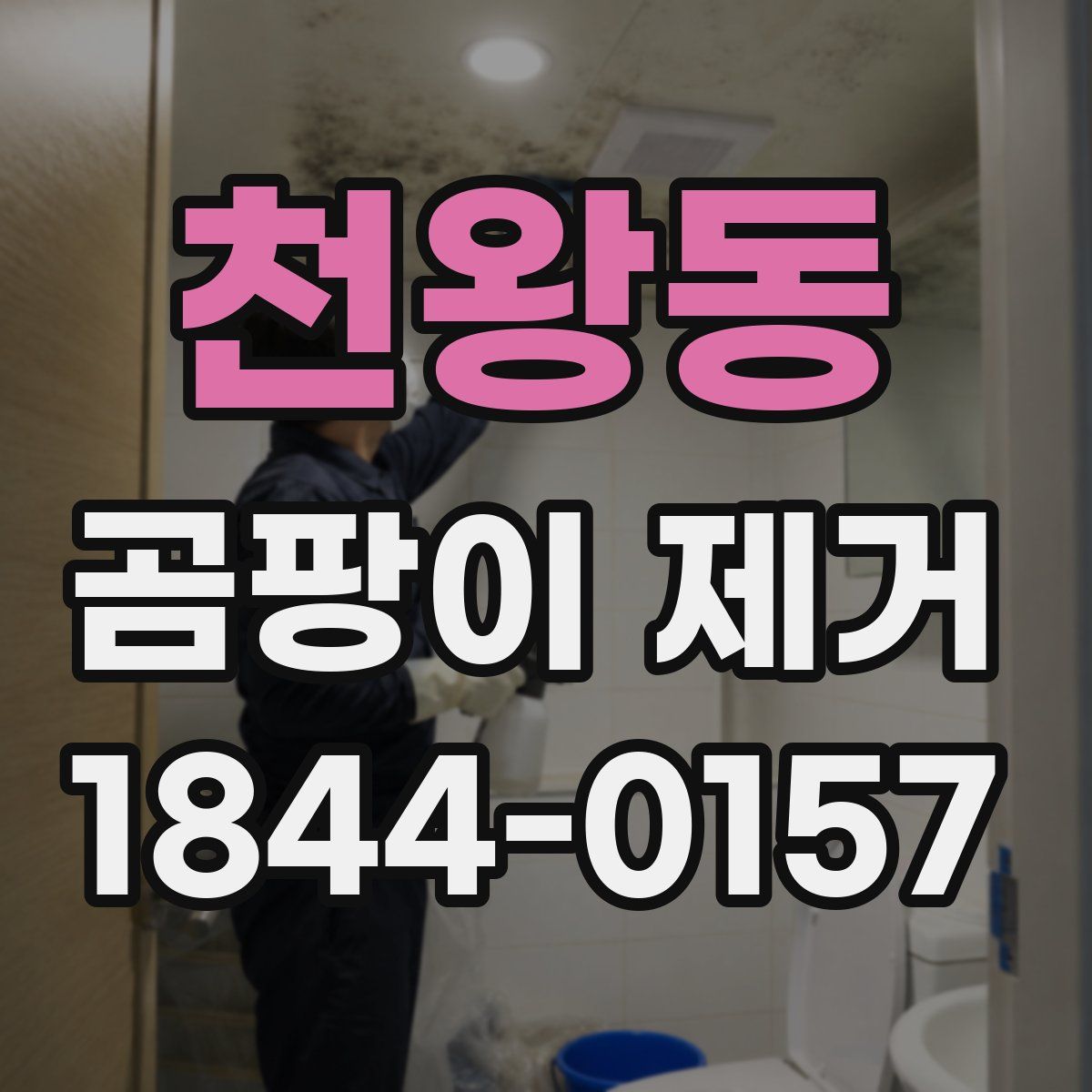 천왕동 곰팡이 제거