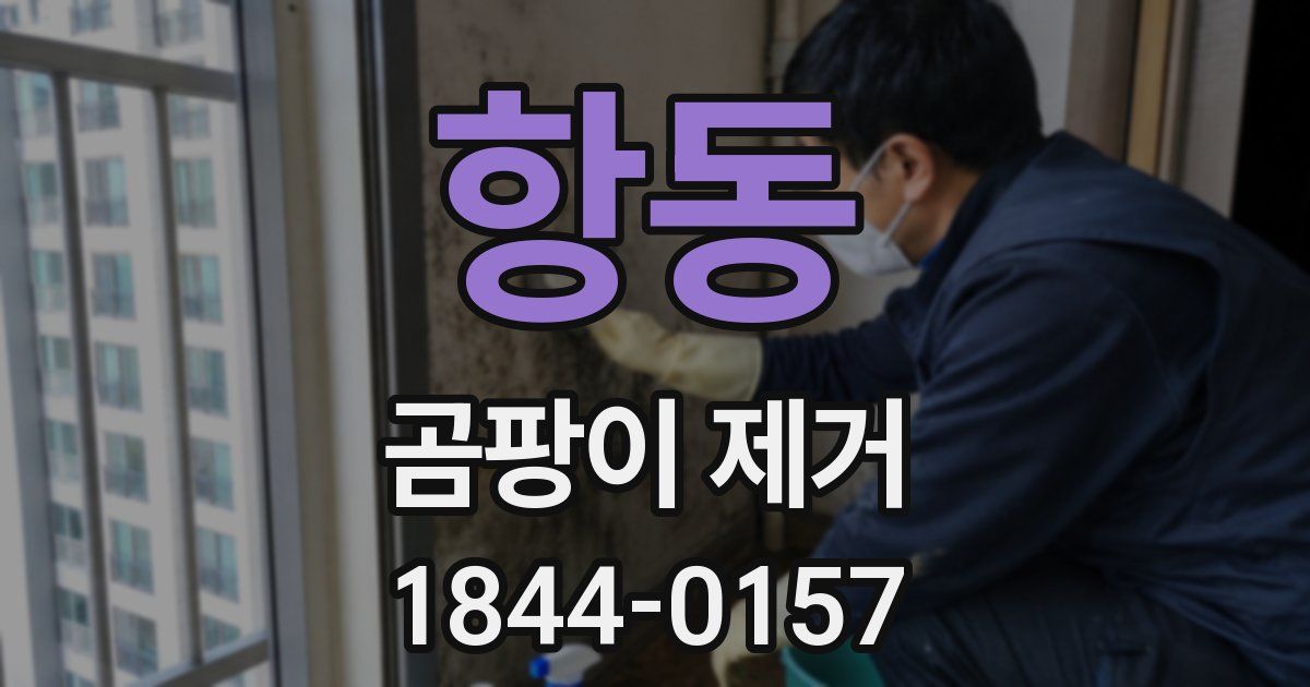 항동 곰팡이 제거
