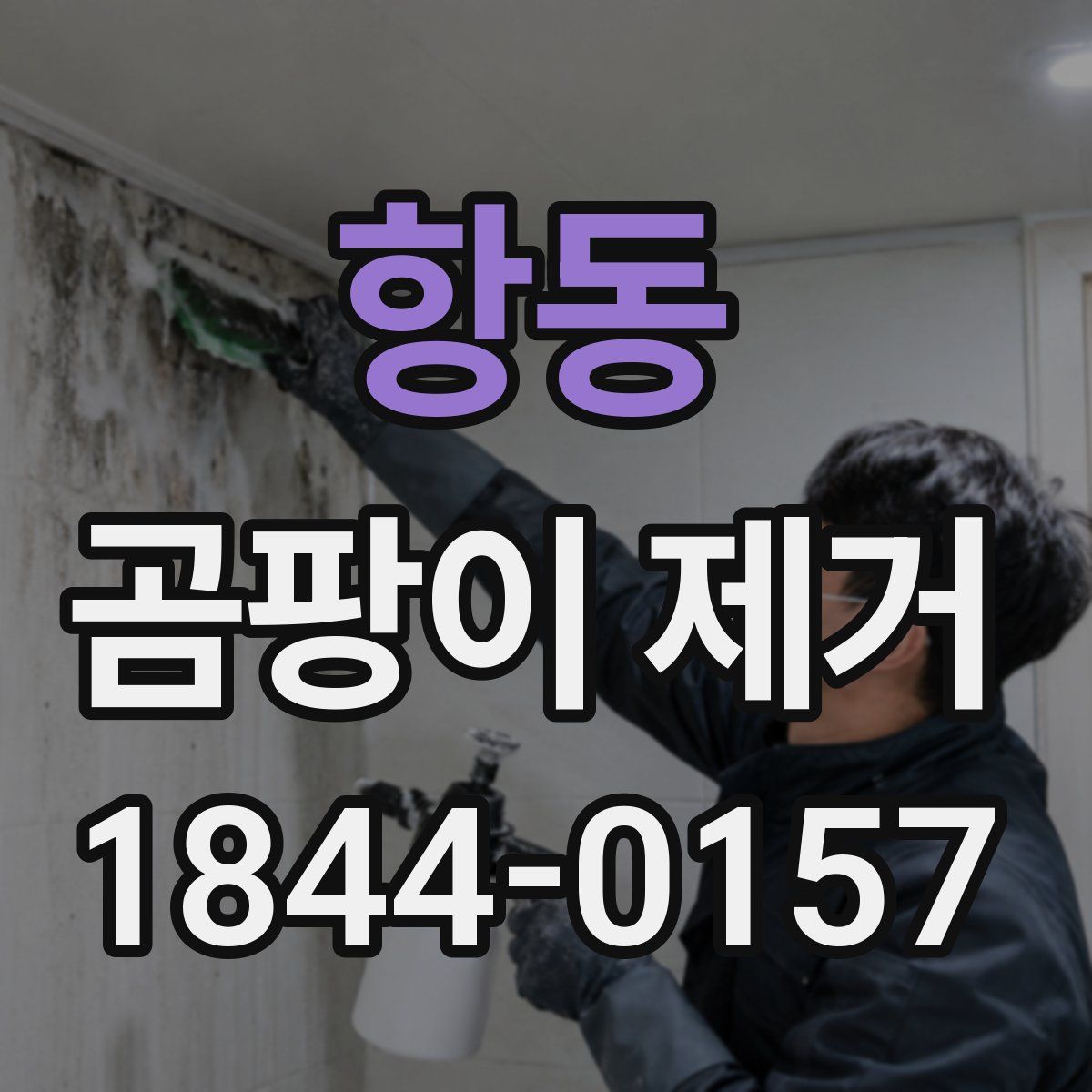 항동 곰팡이 제거