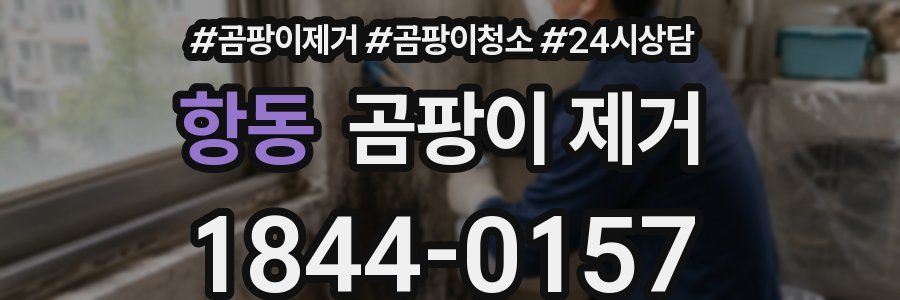 항동 곰팡이 제거