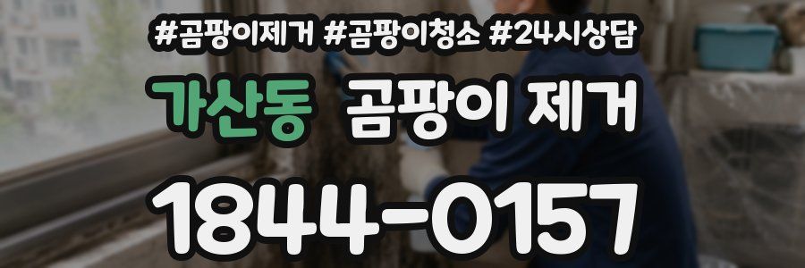 가산동 곰팡이 제거
