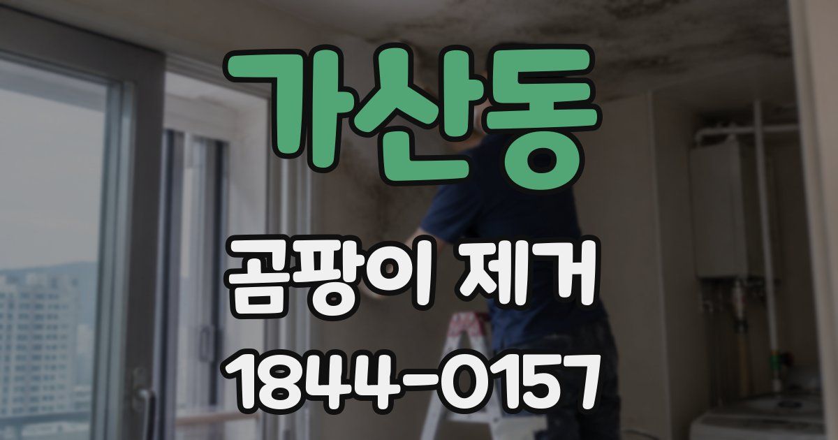 가산동 곰팡이 제거