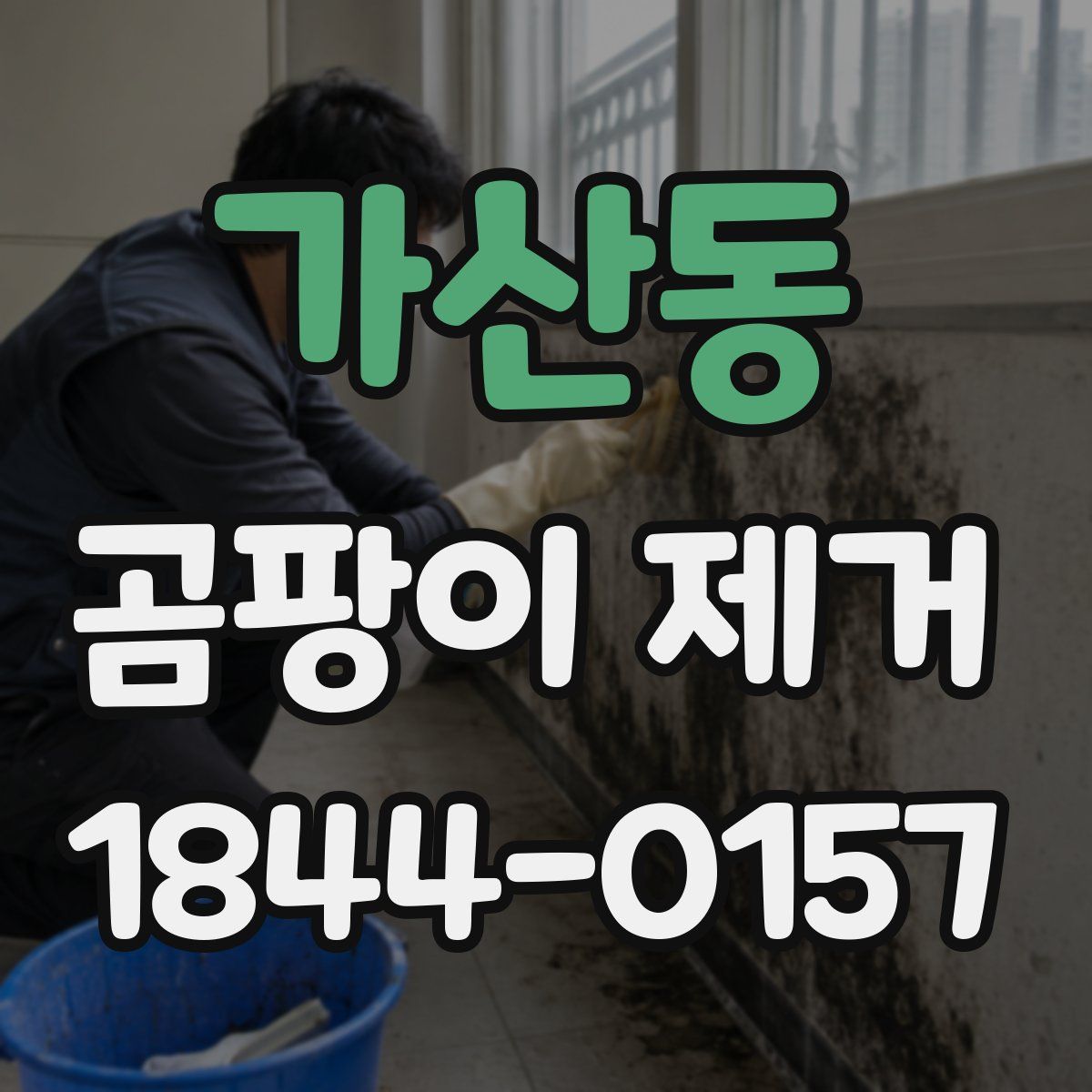 가산동 곰팡이 제거