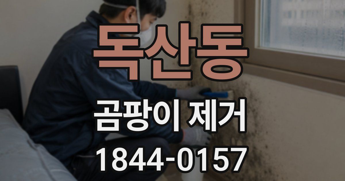 독산동 곰팡이 제거