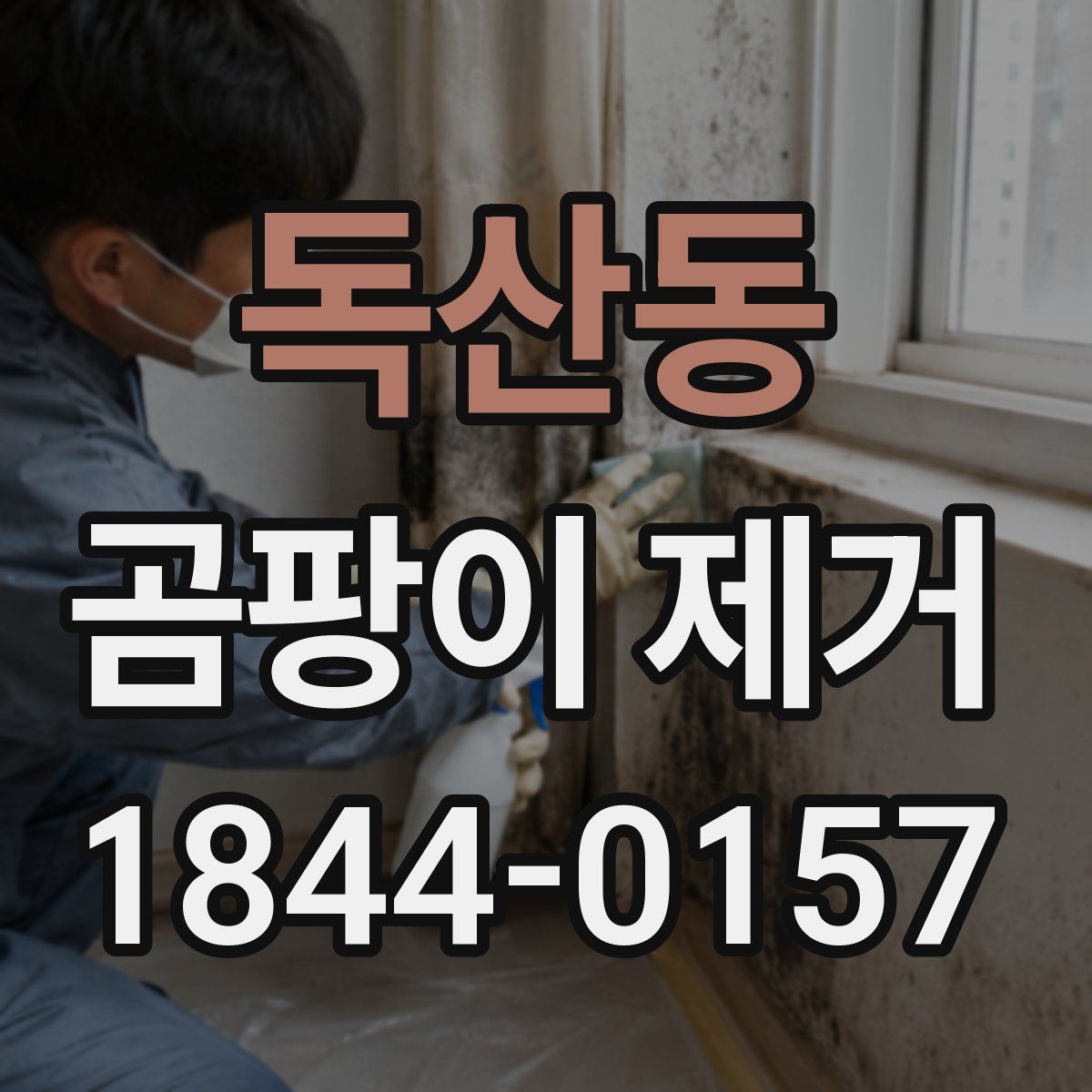 독산동 곰팡이 제거