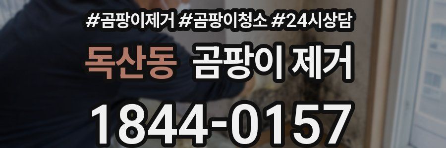 독산동 곰팡이 제거