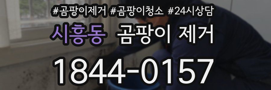 시흥동 곰팡이 제거