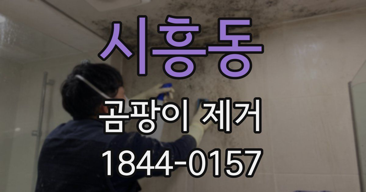 시흥동 곰팡이 제거