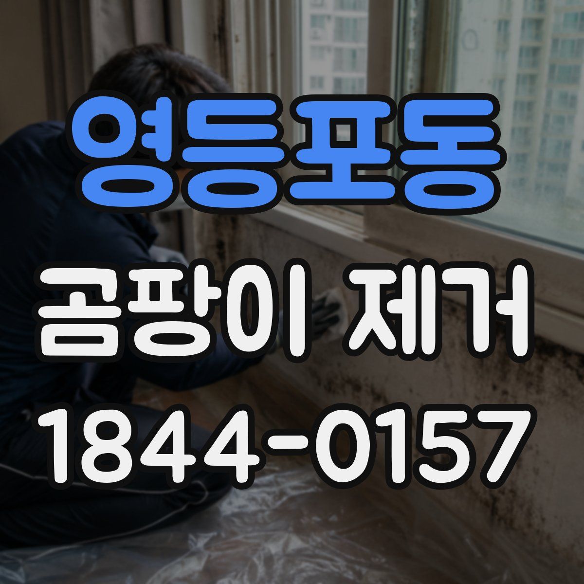 영등포동 곰팡이 제거