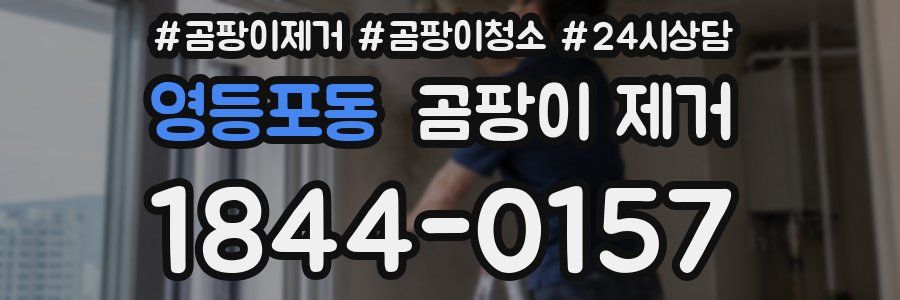 영등포동 곰팡이 제거
