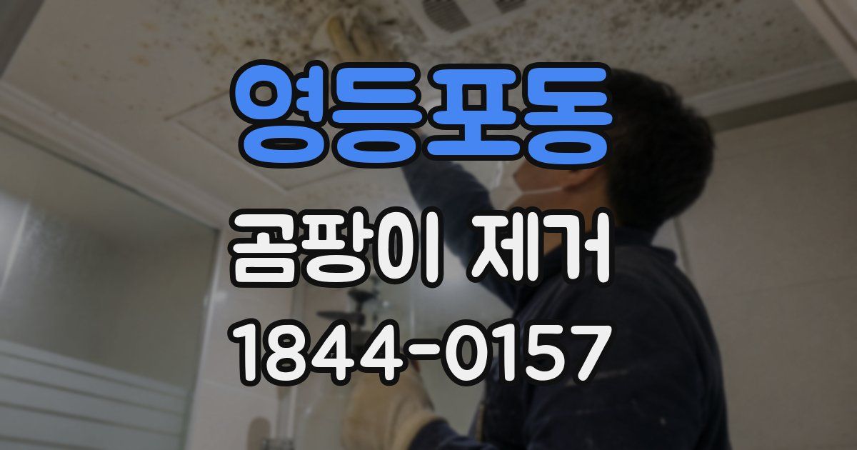 영등포동 곰팡이 제거