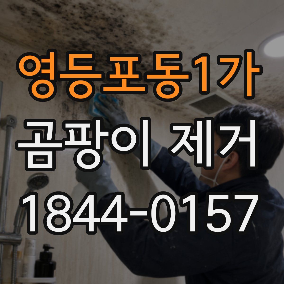 영등포동1가 곰팡이 제거
