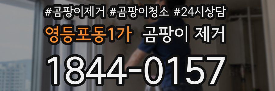 영등포동1가 곰팡이 제거
