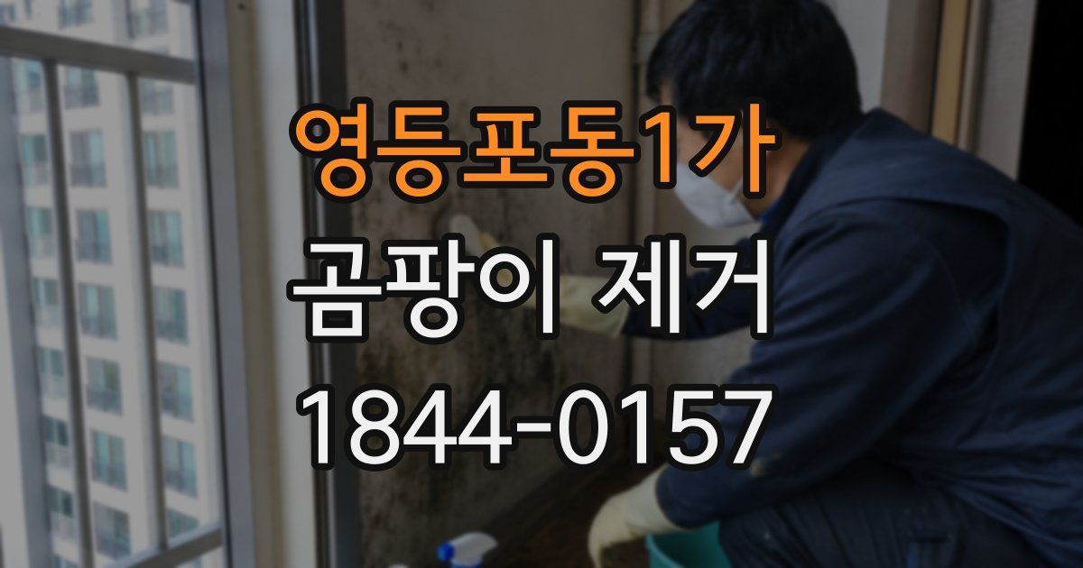 영등포동1가 곰팡이 제거