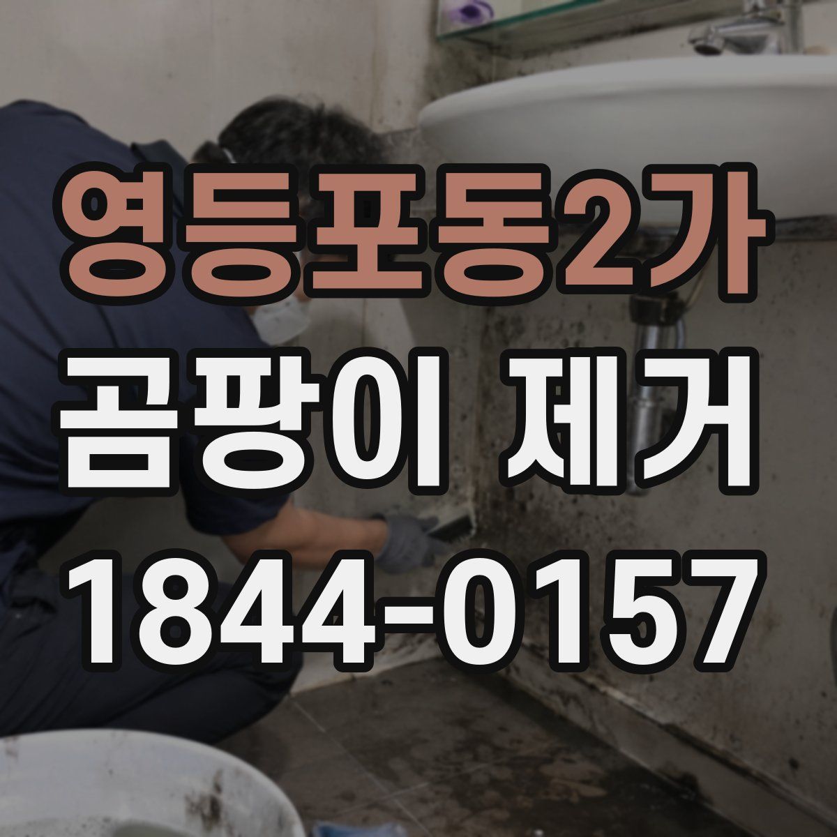영등포동2가 곰팡이 제거