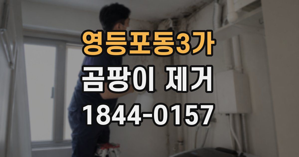 영등포동3가 곰팡이 제거