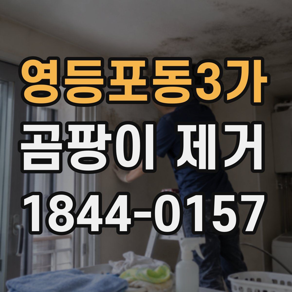 영등포동3가 곰팡이 제거
