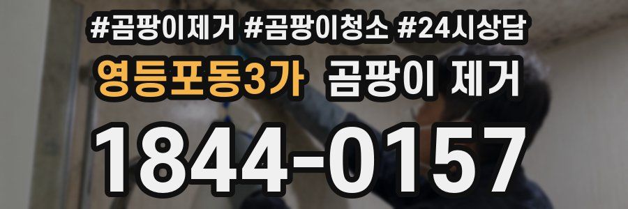 영등포동3가 곰팡이 제거