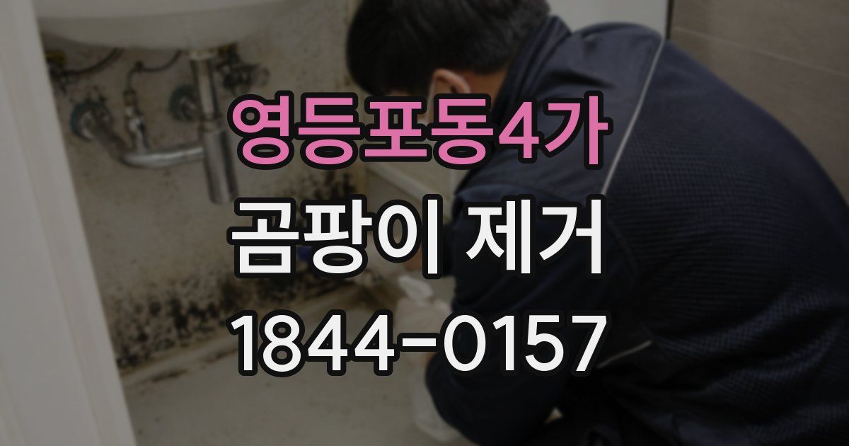 영등포동4가 곰팡이 제거