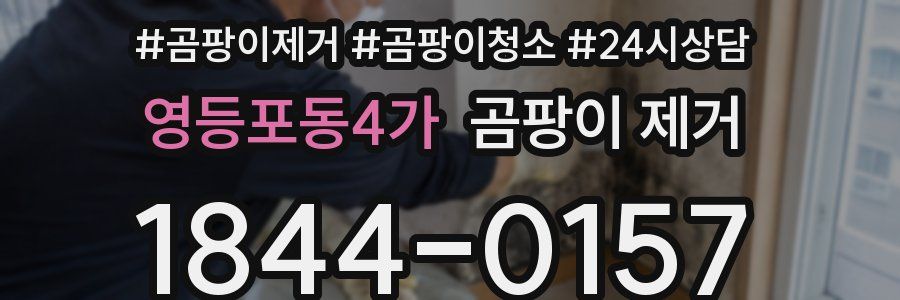 영등포동4가 곰팡이 제거