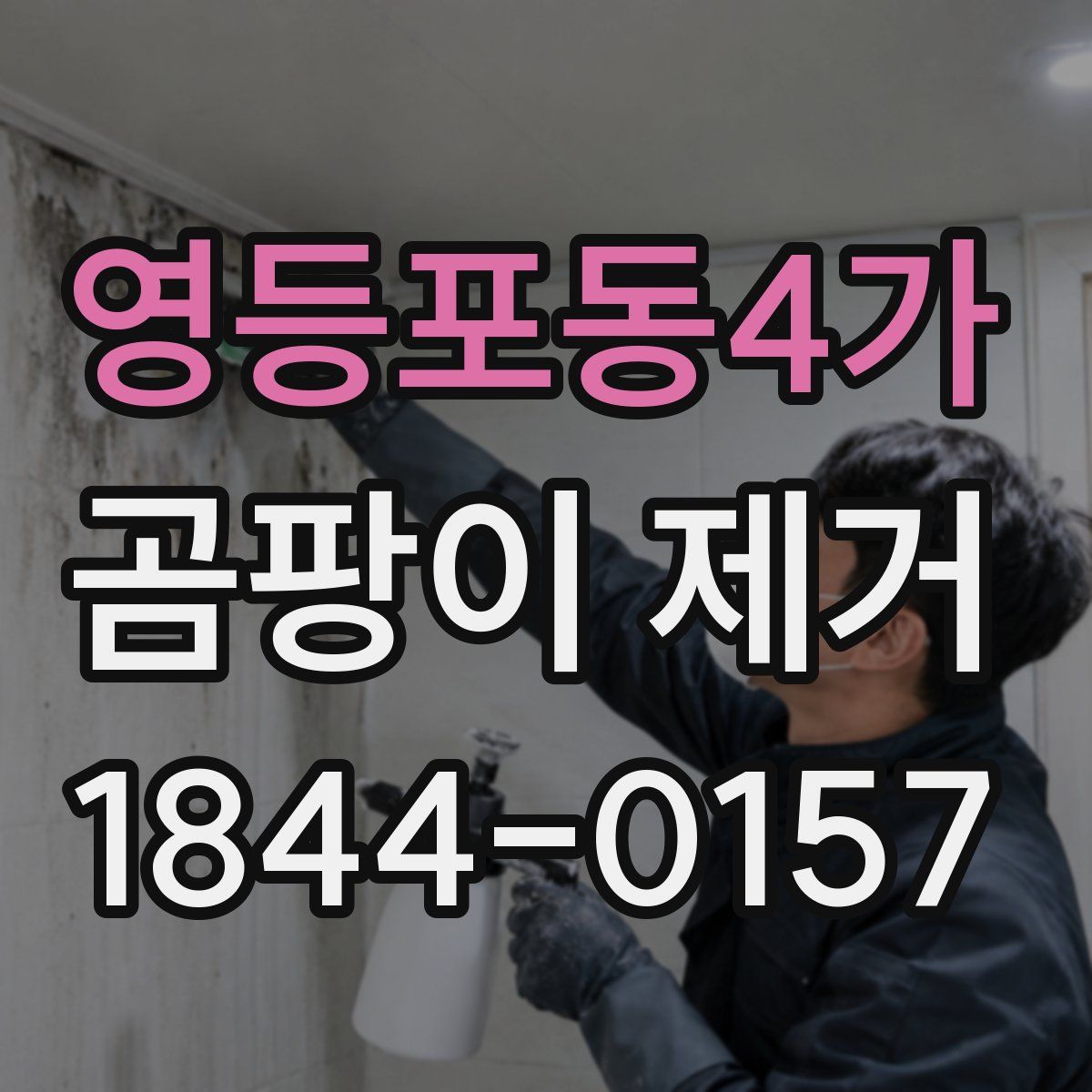영등포동4가 곰팡이 제거