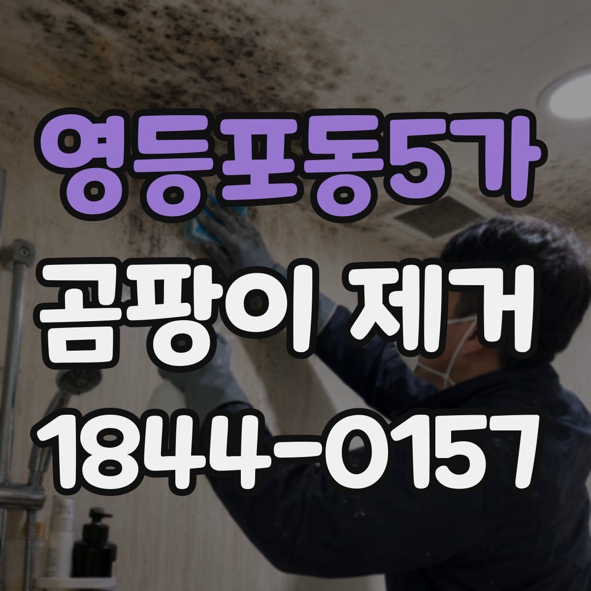 영등포동5가 곰팡이 제거 계절별 관리 차이와 체크리스트