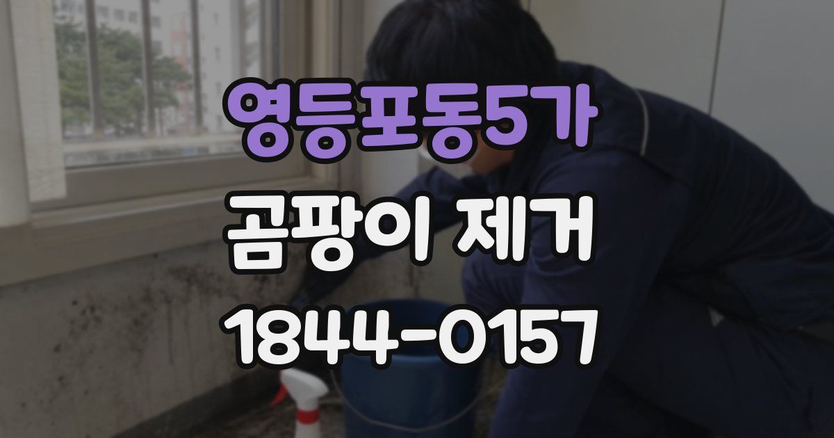 영등포동5가 곰팡이 제거