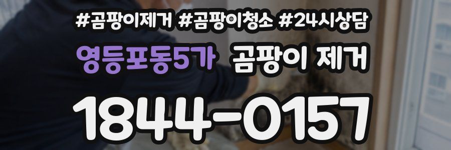 영등포동5가 곰팡이 제거