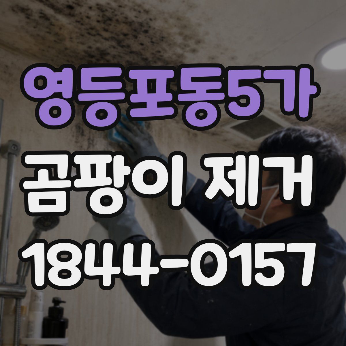 영등포동5가 곰팡이 제거