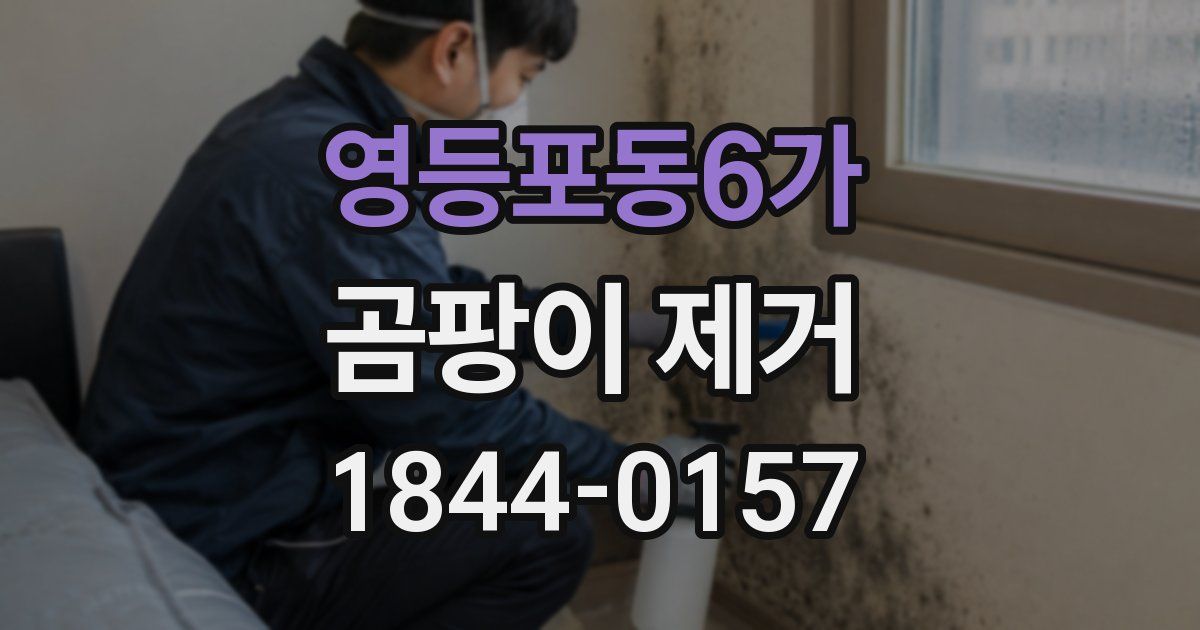 영등포동6가 곰팡이 제거