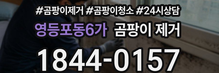 영등포동6가 곰팡이 제거