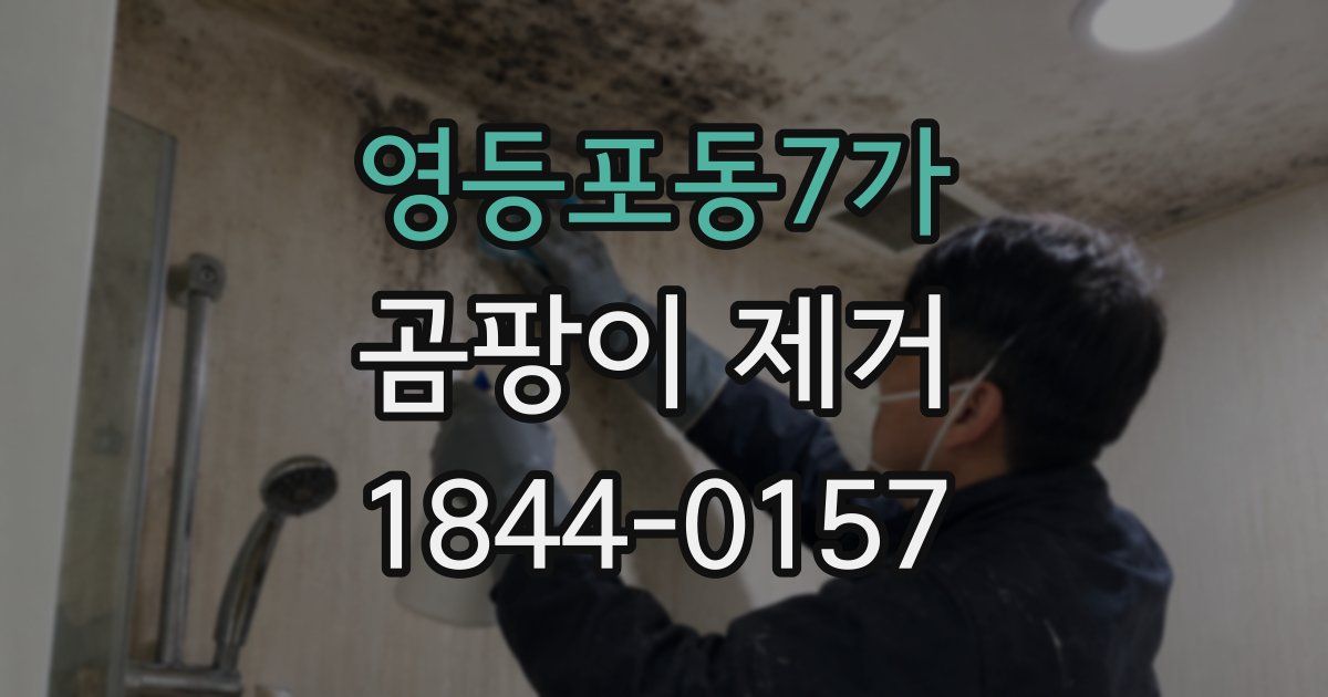 영등포동7가 곰팡이 제거