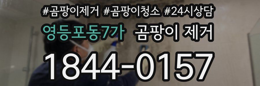 영등포동7가 곰팡이 제거