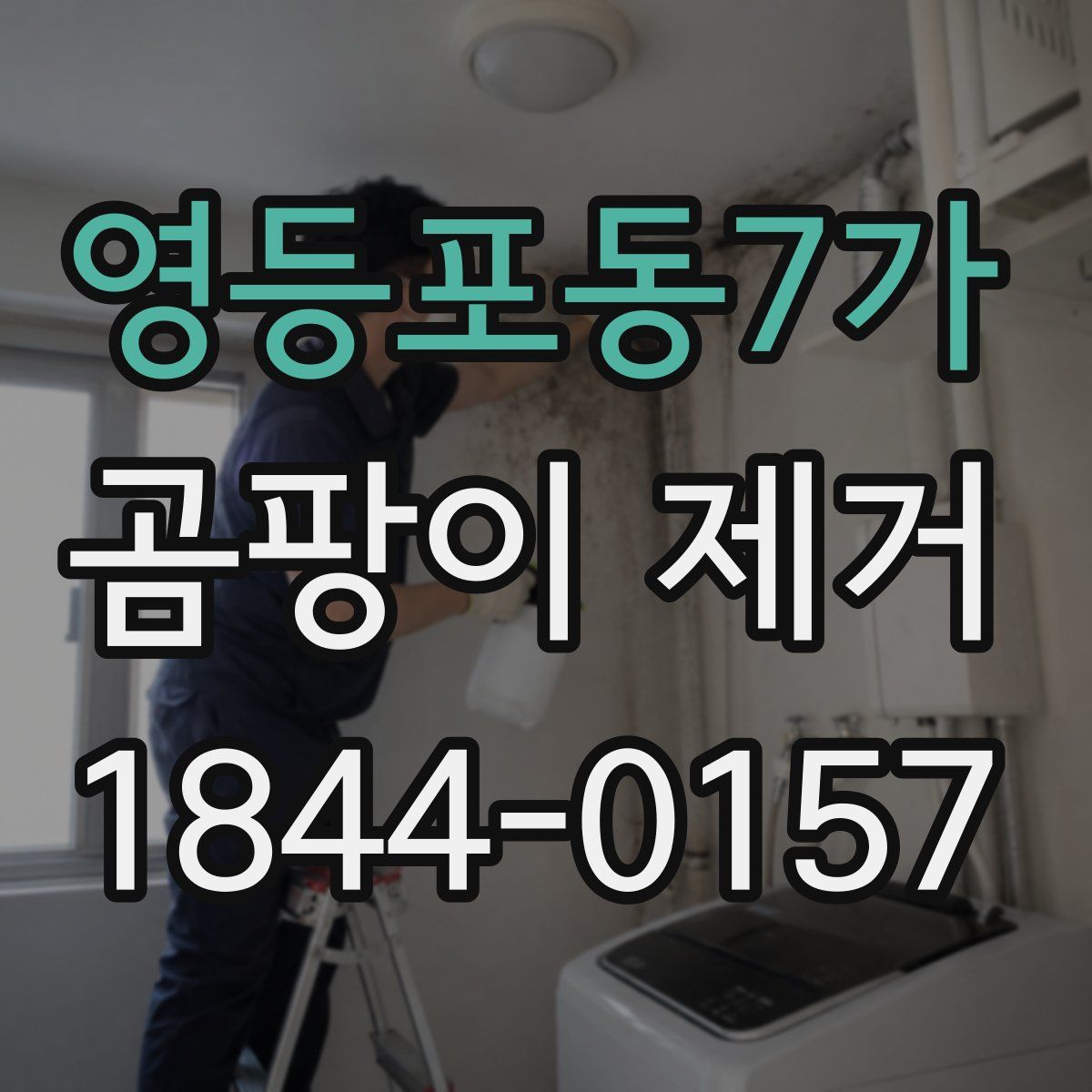 영등포동7가 곰팡이 제거