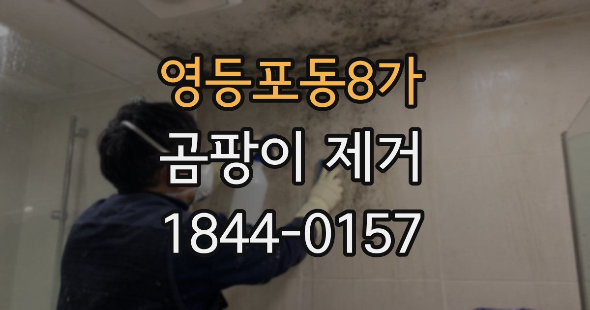 영등포동8가 곰팡이 제거