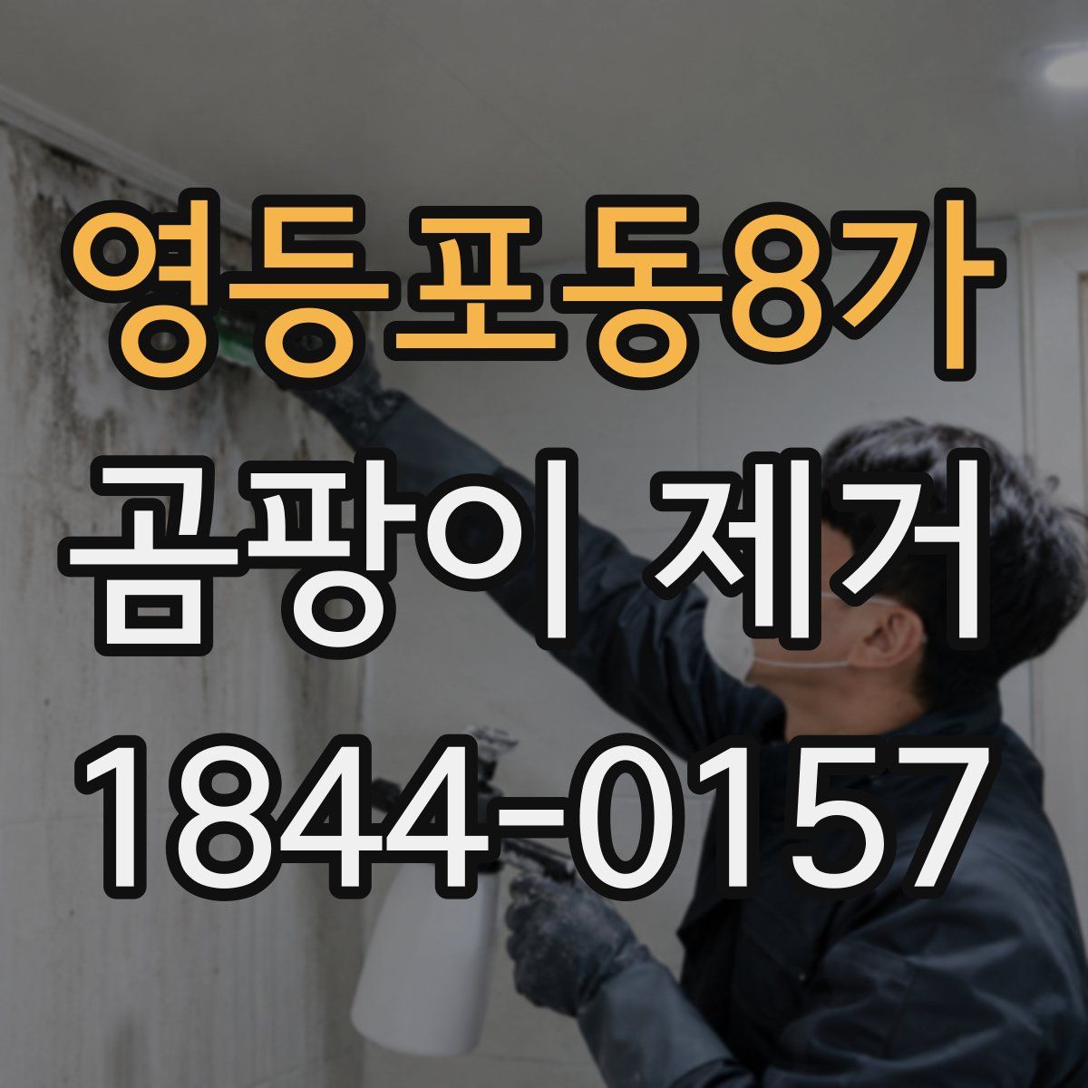영등포동8가 곰팡이 제거